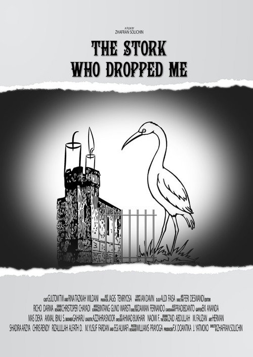 The Stork Who Dropped Me (2016)