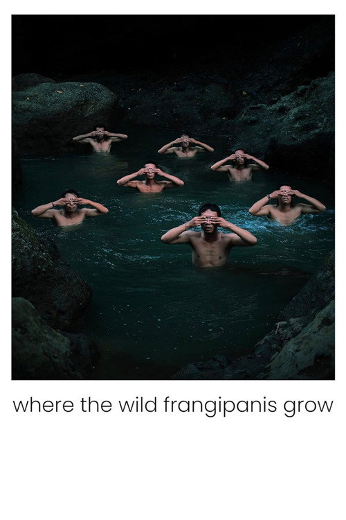 Where the Wild Frangipanis Grow (2023)