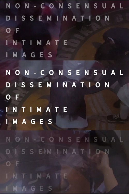Non-consensual Dissemination of Intimate Images (2023)