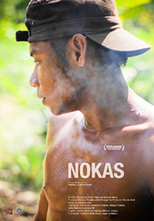 Nokas (2016)