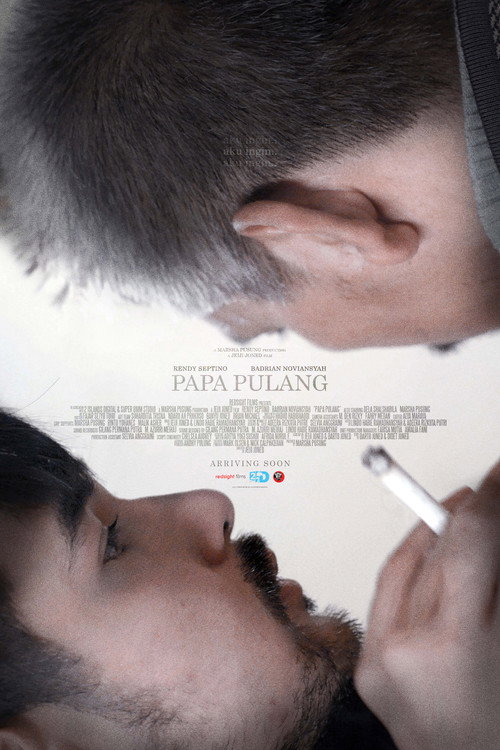 Dad's Home (2018)
