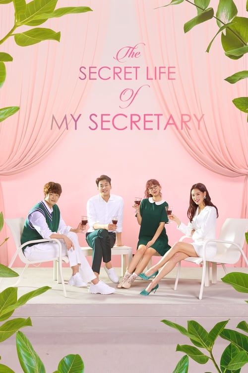The Secret Life of My Secretary Episode 1 Season 1 (2019)