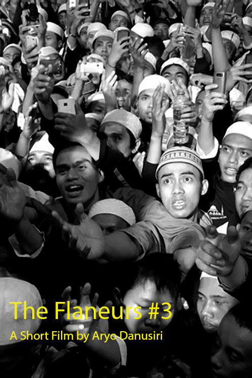 The Flaneurs #3 (2013)