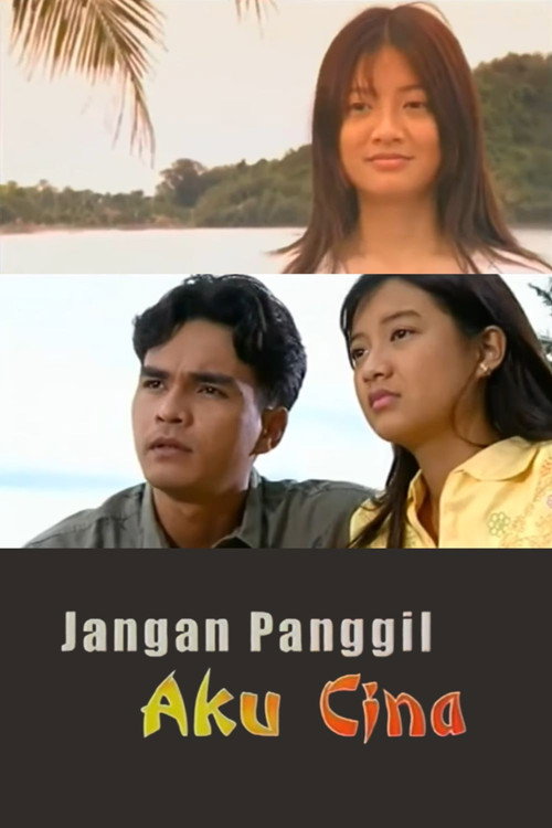Jangan Panggil Aku Cina (2002)