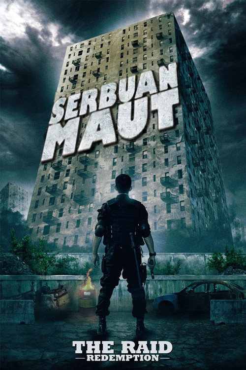 The Raid (2012)