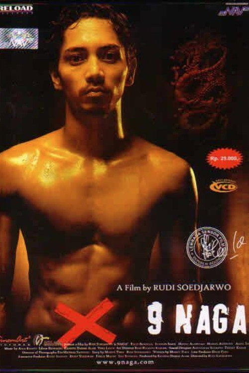 The Nine Dragon (2006)