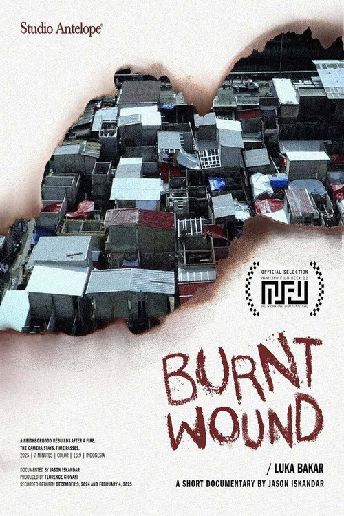 Burnt Wound (2025)